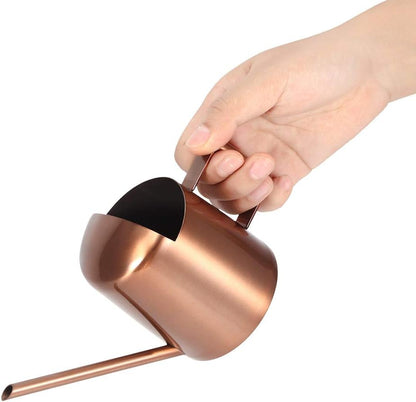 Watering Can, 10oz/300ml Indoor Plants Watering Pot Stainless Steel Small Jug with Long Spout Sprinkling Jar for Houseplant Desk Garden Outdoor Flowers Succulents Bonsai Gardening Decorative
