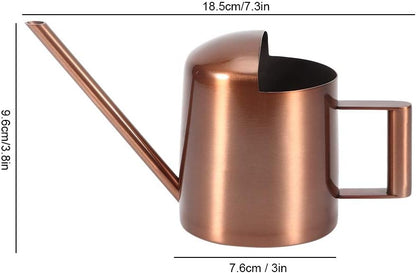 Watering Can, 10oz/300ml Indoor Plants Watering Pot Stainless Steel Small Jug with Long Spout Sprinkling Jar for Houseplant Desk Garden Outdoor Flowers Succulents Bonsai Gardening Decorative