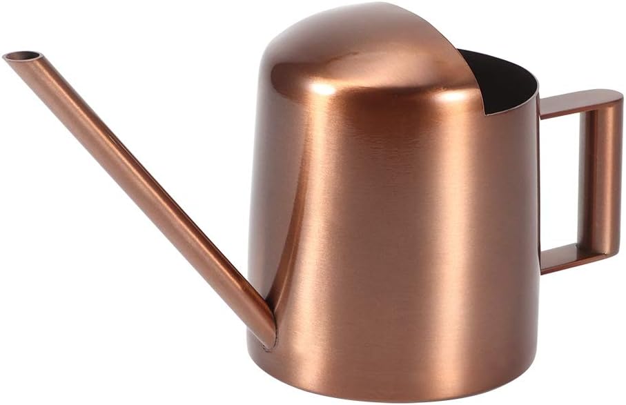 Watering Can, 10oz/300ml Indoor Plants Watering Pot Stainless Steel Small Jug with Long Spout Sprinkling Jar for Houseplant Desk Garden Outdoor Flowers Succulents Bonsai Gardening Decorative