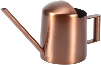 Watering Can, 10oz/300ml Indoor Plants Watering Pot Stainless Steel Small Jug with Long Spout Sprinkling Jar for Houseplant Desk Garden Outdoor Flowers Succulents Bonsai Gardening Decorative