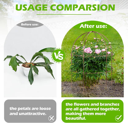 26 Inch Bird Cage Plant Support, Metal Grow-Through Cage with Dome Top