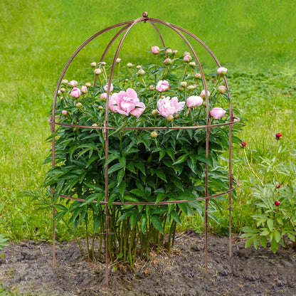 26 Inch Bird Cage Plant Support, Metal Grow-Through Cage with Dome Top
