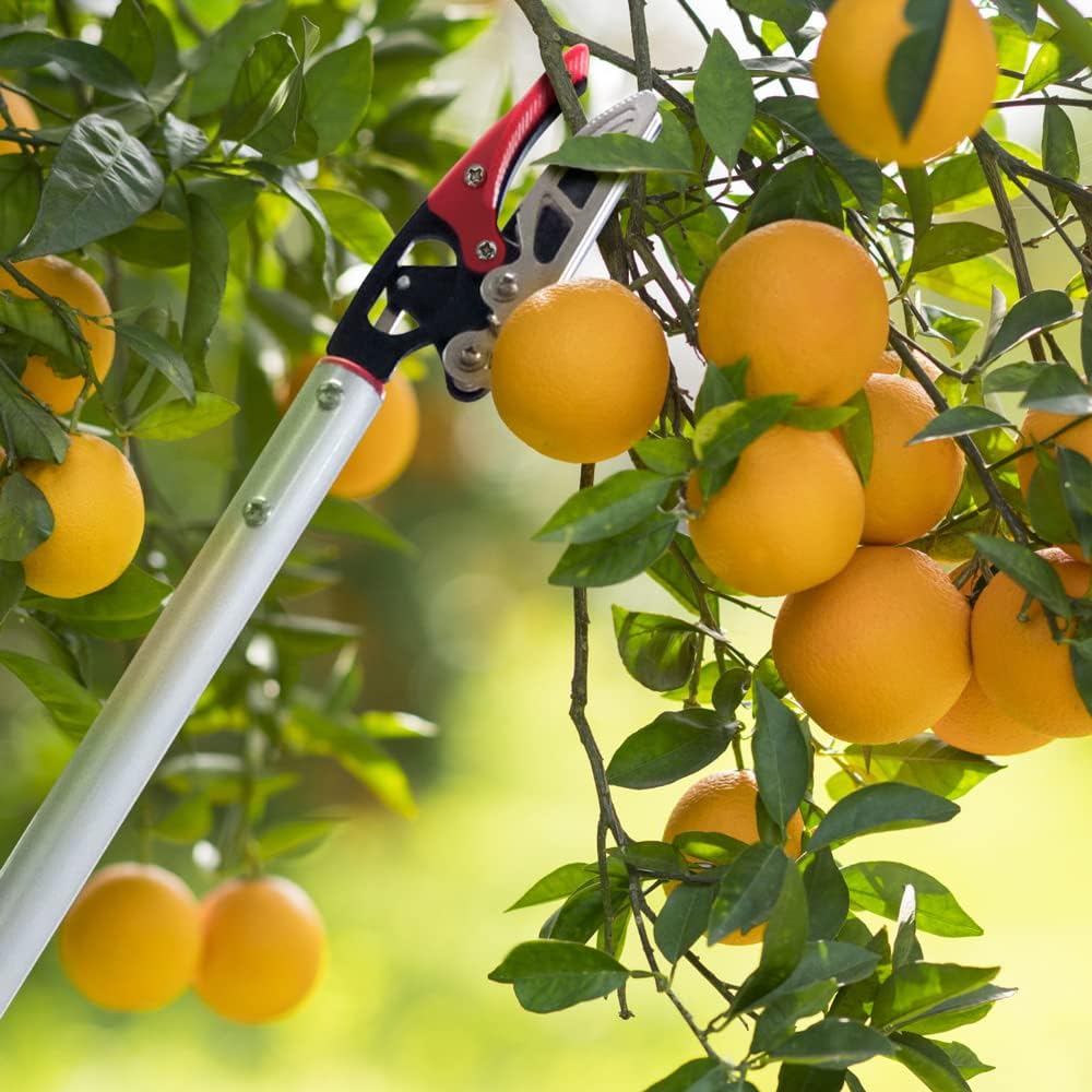 32-Inch Cut and Hold Pruners, Long-Reach Tree Pruner with Rotating Cutter Head, Long Pruning Shears for Garden, Fruit Picking, Branches Trimming
