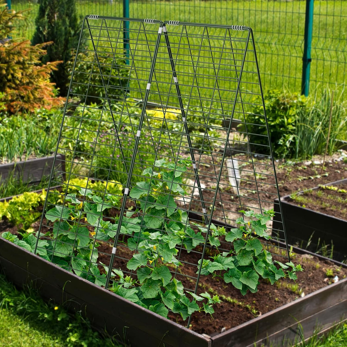 34" x 48" Foldable Metal Cucumber Trellis， for Climbing Plants, Cucumber, Vegetable, Flowers
