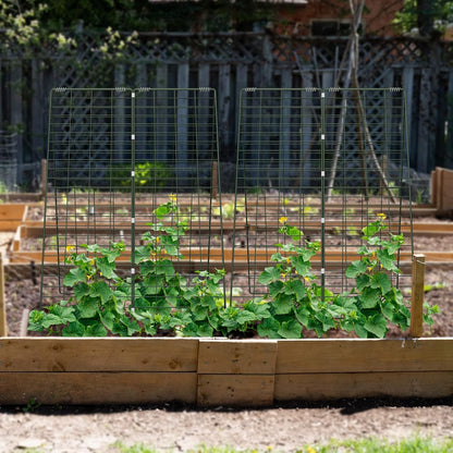 34" x 48" Foldable Metal Cucumber Trellis， for Climbing Plants, Cucumber, Vegetable, Flowers