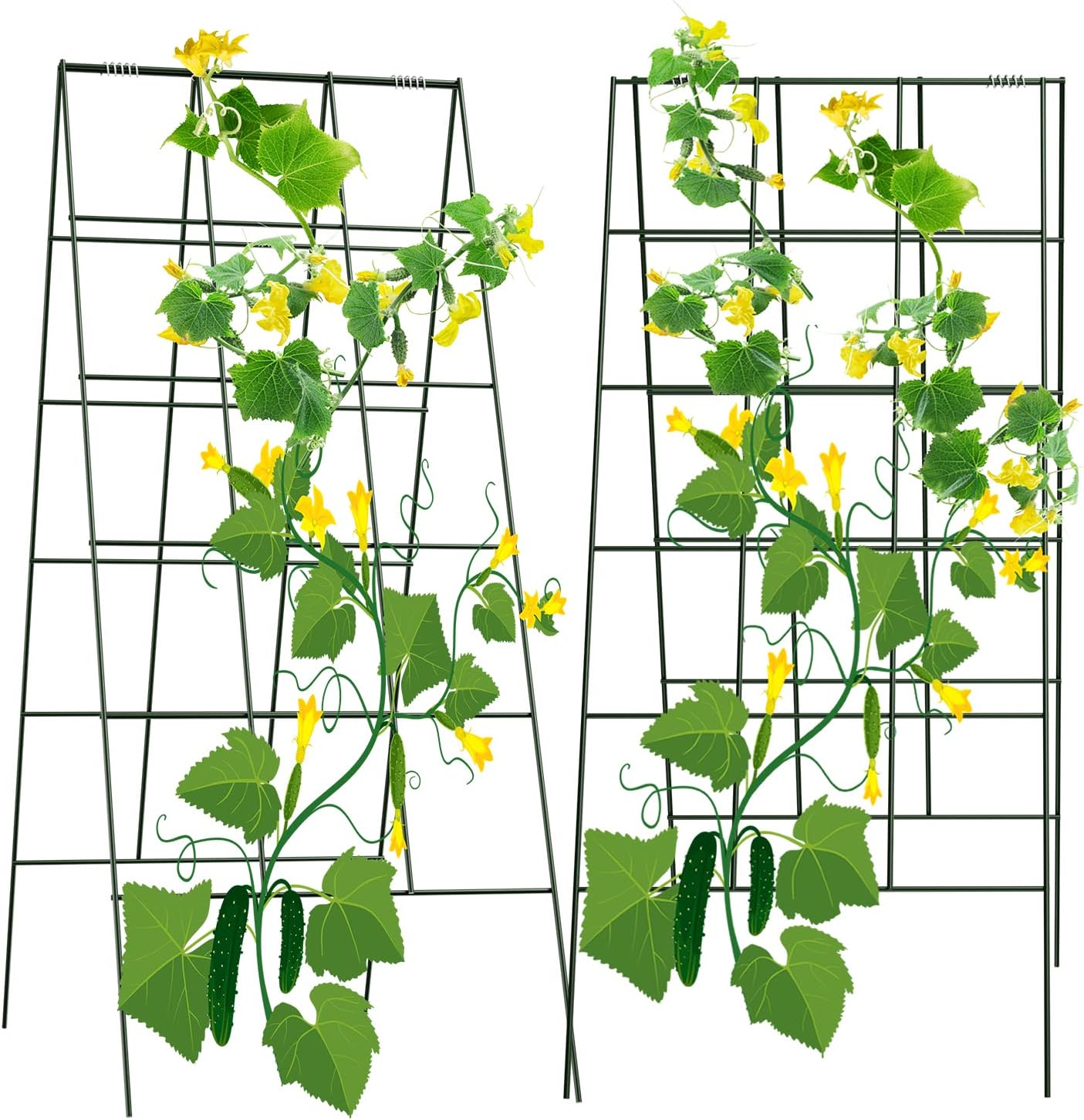 34" x 48" Foldable Metal Cucumber Trellis， for Climbing Plants, Cucumber, Vegetable, Flowers