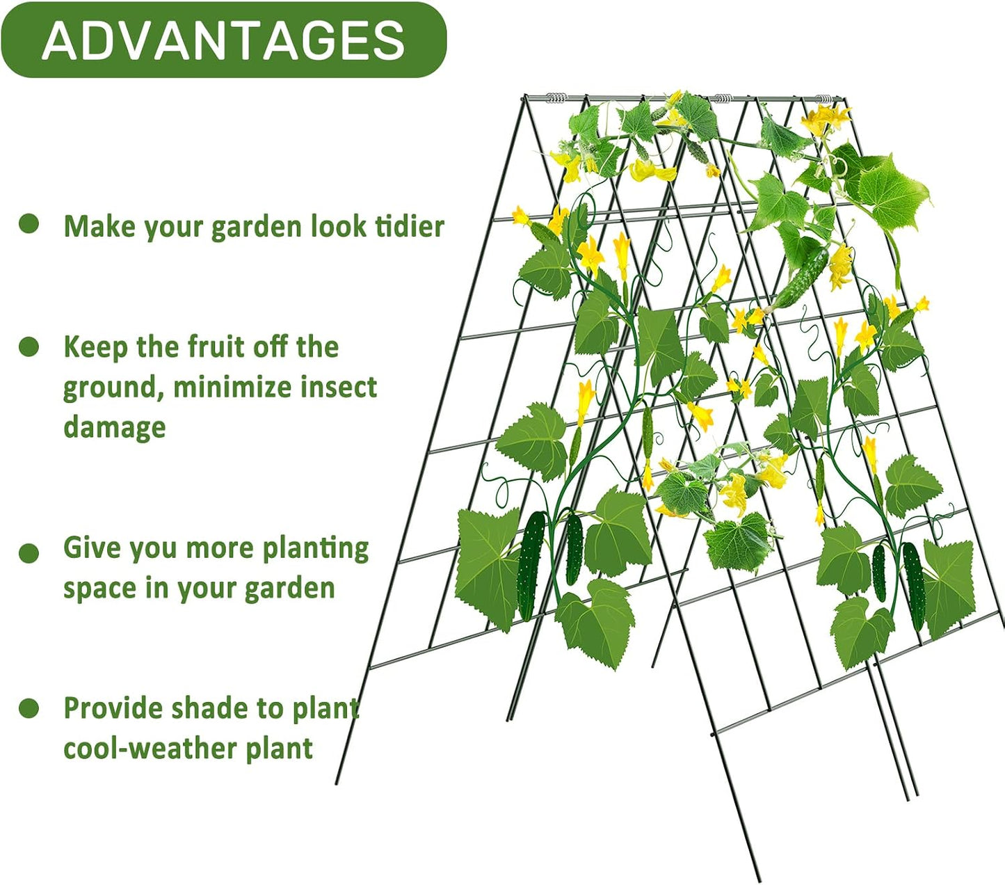 34" x 48" Foldable Metal Cucumber Trellis， for Climbing Plants, Cucumber, Vegetable, Flowers
