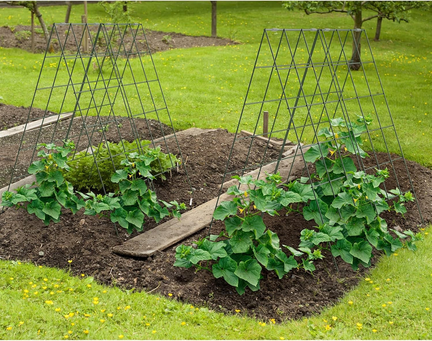 34" x 48" Foldable Metal Cucumber Trellis， for Climbing Plants, Cucumber, Vegetable, Flowers