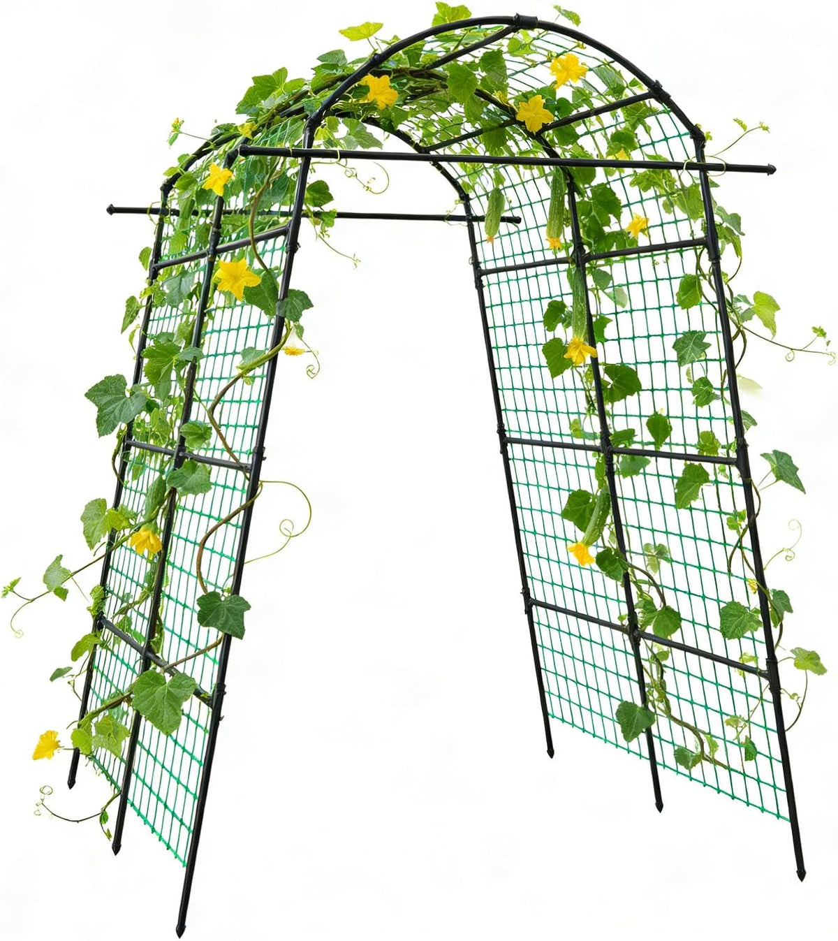 34" x 48" Foldable Metal Cucumber Trellis， for Climbing Plants, Cucumber, Vegetable, Flowers