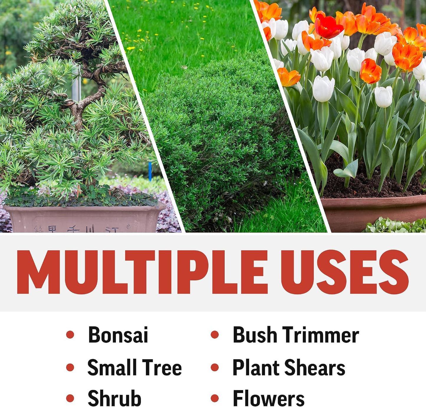 Piranha Pruner Bonsai Small Scissors, Shears Gardening Tools, Tree Cutter Trimmers, Fluorine Coated Blade, Yellow and Black