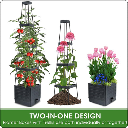 2 Packs Raised Garden Bed Tomato Planter with Trellis, 57" Tomato Cages for Climbing Vegetables Plant, Self Watering Planters Box for Garden Pots for Patio Greenhouse Indoor Outdoor（2PCS）