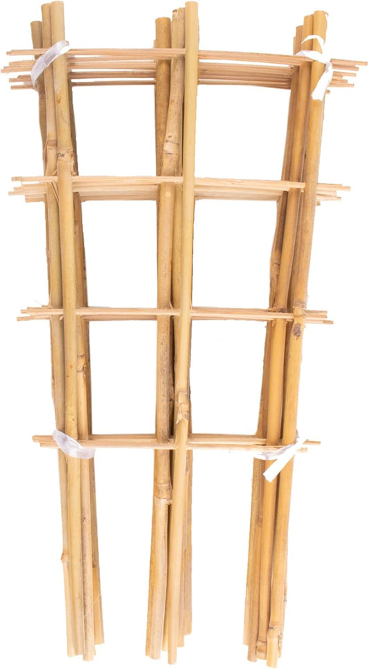 10 Pack Bamboo Trellis for Climbing Plants 16" Natural Garden Ladder Trellis, Fan -Shaped Plant Support Trellis for Potted Plant Decor