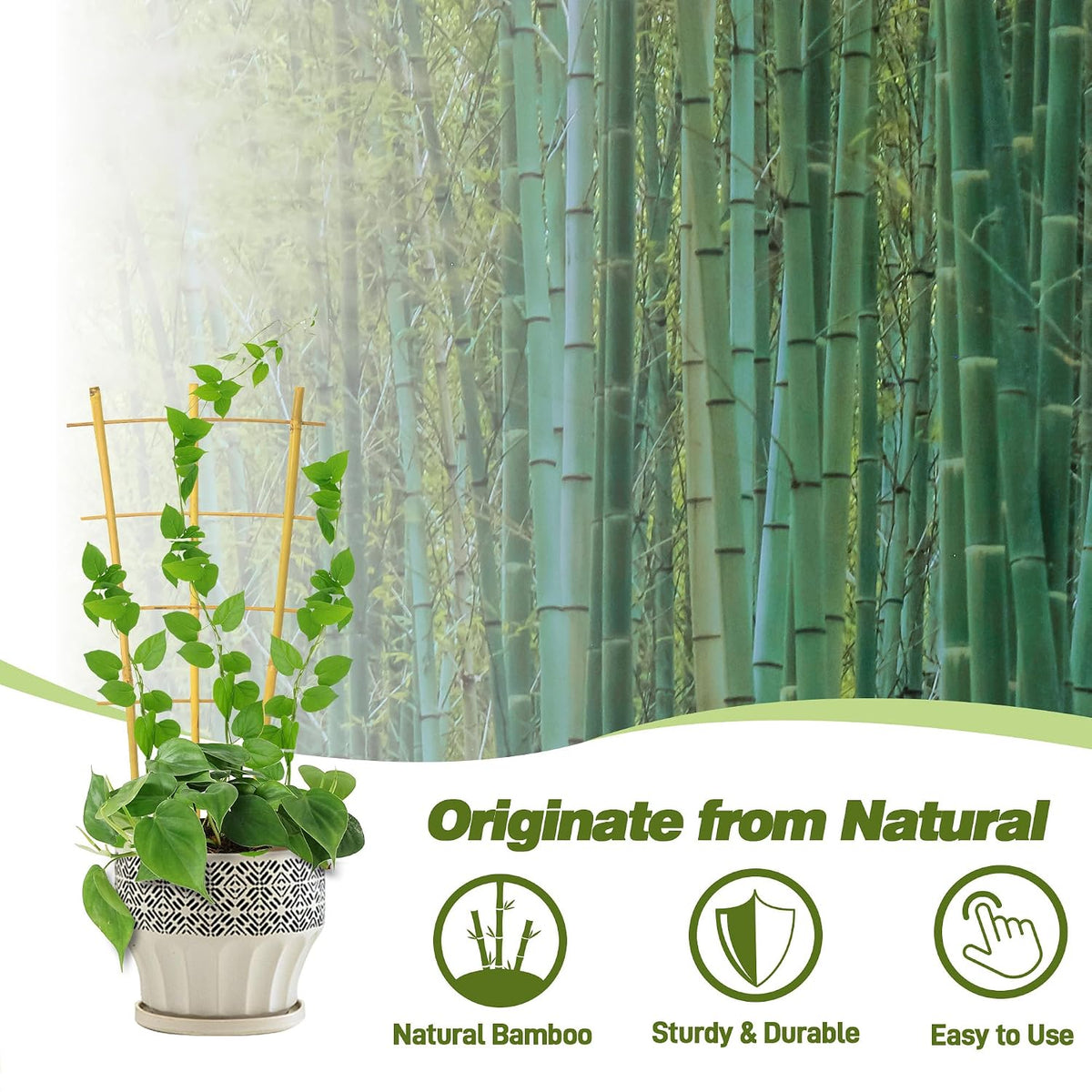 10 Pack Bamboo Trellis for Climbing Plants 16" Natural Garden Ladder Trellis, Fan -Shaped Plant Support Trellis for Potted Plant Decor