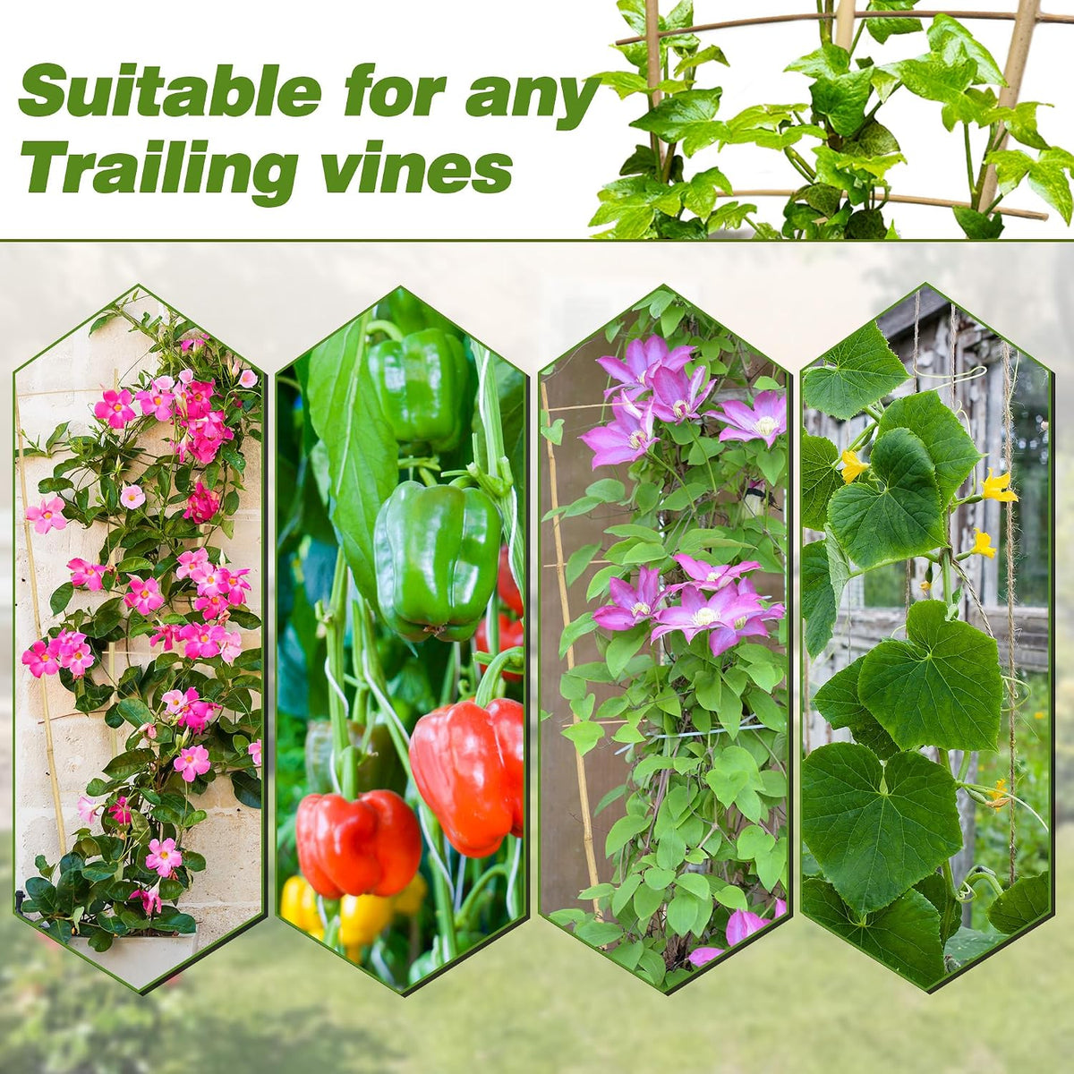 10 Pack Bamboo Trellis for Climbing Plants 16" Natural Garden Ladder Trellis, Fan -Shaped Plant Support Trellis for Potted Plant Decor