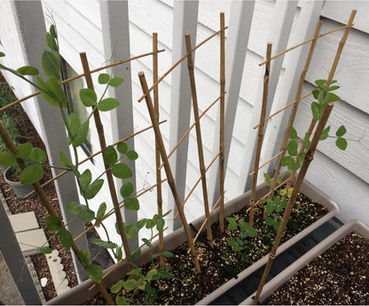 10 Pack Bamboo Trellis for Climbing Plants 16" Natural Garden Ladder Trellis, Fan -Shaped Plant Support Trellis for Potted Plant Decor