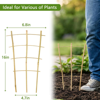 10 Pack Bamboo Trellis for Climbing Plants 16" Natural Garden Ladder Trellis, Fan -Shaped Plant Support Trellis for Potted Plant Decor