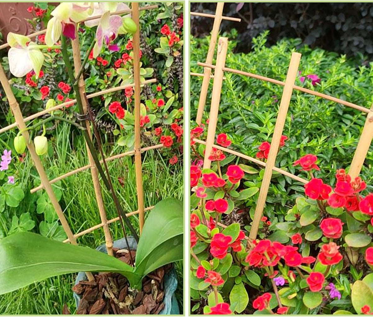 10 Pack Bamboo Trellis for Climbing Plants 16" Natural Garden Ladder Trellis, Fan -Shaped Plant Support Trellis for Potted Plant Decor