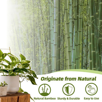 10 Pack Bamboo Trellis for Climbing Plants 16" Natural Garden Ladder Trellis, Fan -Shaped Plant Support Trellis for Potted Plant Decor