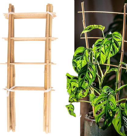 10 Pack Bamboo Trellis for Climbing Plants 16" Natural Garden Ladder Trellis, Fan -Shaped Plant Support Trellis for Potted Plant Decor