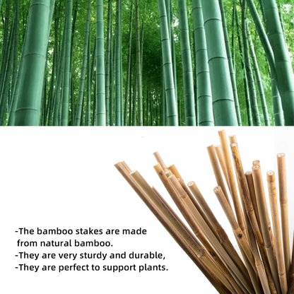 10 Pack Bamboo Trellis for Climbing Plants 16" Natural Garden Ladder Trellis, Fan -Shaped Plant Support Trellis for Potted Plant Decor
