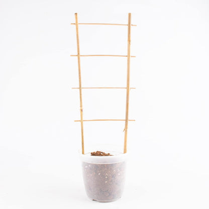 10 Pack Bamboo Trellis for Climbing Plants 16" Natural Garden Ladder Trellis, Fan -Shaped Plant Support Trellis for Potted Plant Decor