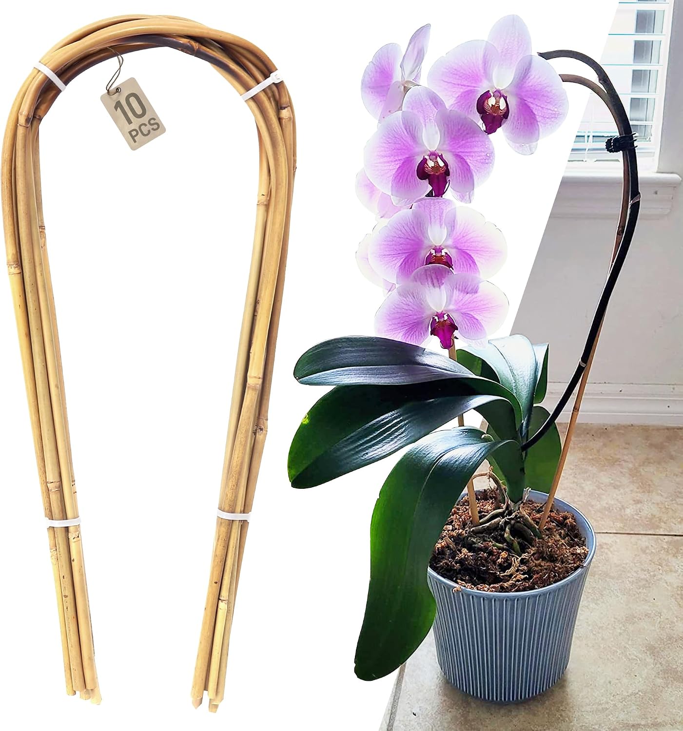 10 Pack Bamboo Trellis for Climbing Plants 16" Natural Garden Ladder Trellis, Fan -Shaped Plant Support Trellis for Potted Plant Decor