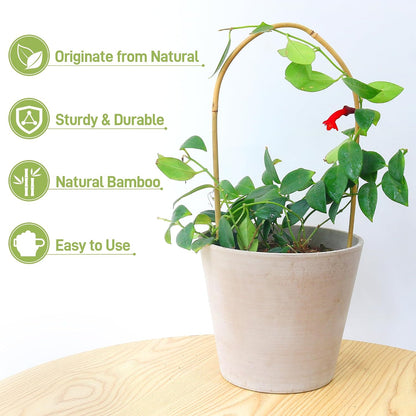 10 Pack Bamboo Trellis for Climbing Plants 16" Natural Garden Ladder Trellis, Fan -Shaped Plant Support Trellis for Potted Plant Decor