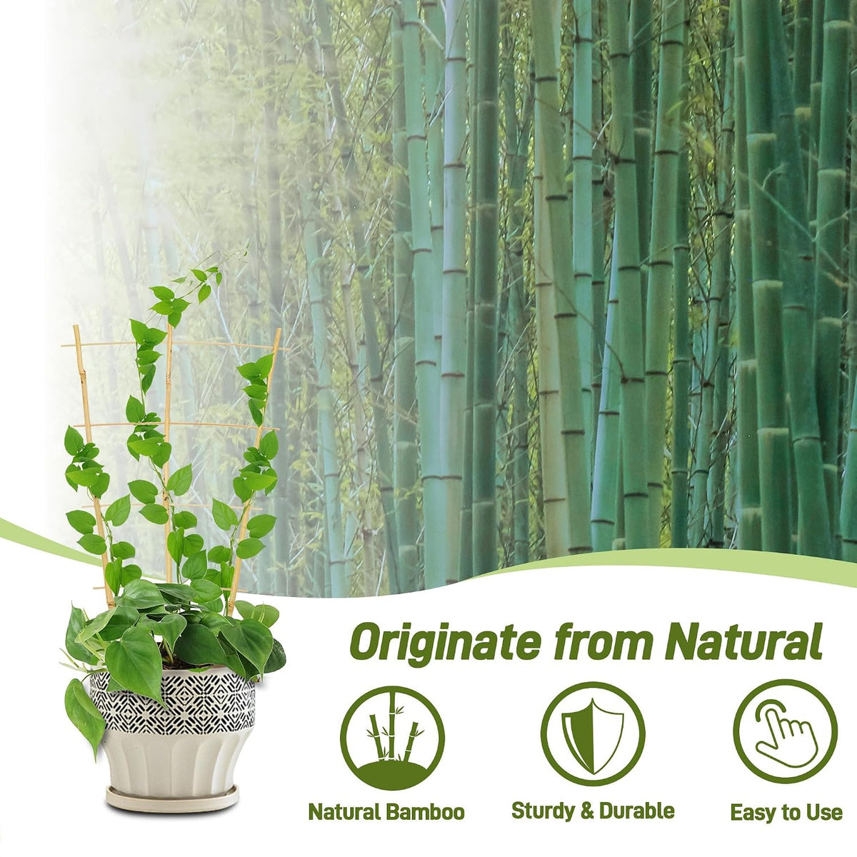 10 Pack Bamboo Trellis for Climbing Plants 16" Natural Garden Ladder Trellis, Fan -Shaped Plant Support Trellis for Potted Plant Decor