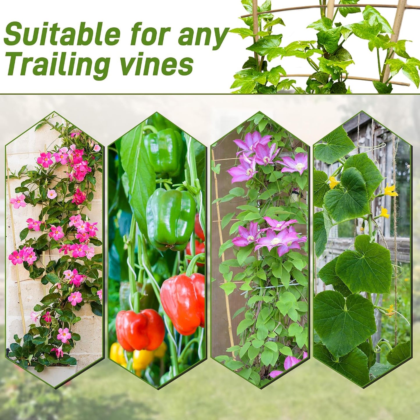10 Pack Bamboo Trellis for Climbing Plants 16" Natural Garden Ladder Trellis, Fan -Shaped Plant Support Trellis for Potted Plant Decor