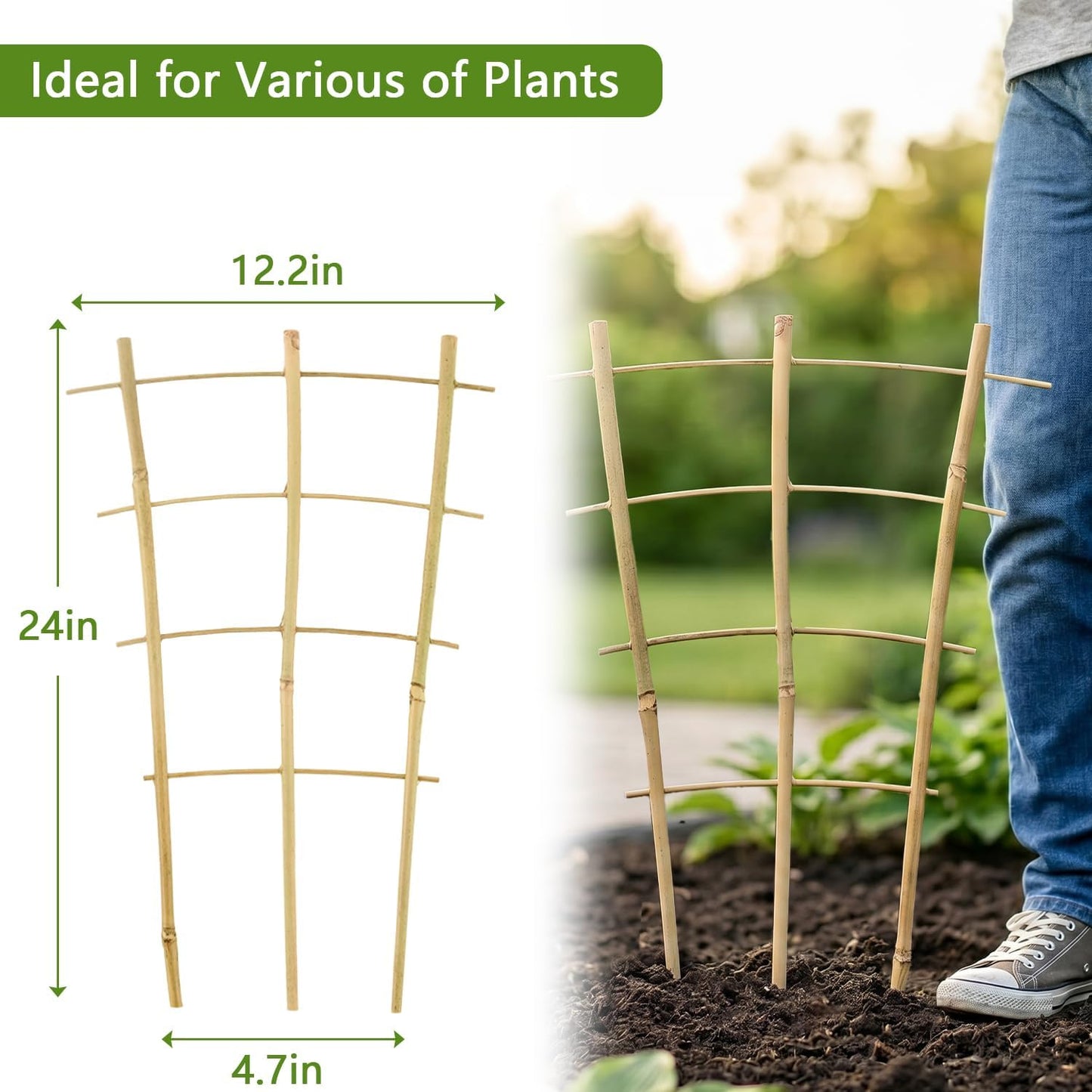 10 Pack Bamboo Trellis for Climbing Plants 16" Natural Garden Ladder Trellis, Fan -Shaped Plant Support Trellis for Potted Plant Decor
