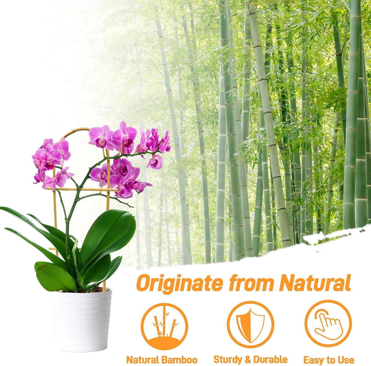 10 Pack Bamboo Trellis for Climbing Plants 16" Natural Garden Ladder Trellis, Fan -Shaped Plant Support Trellis for Potted Plant Decor