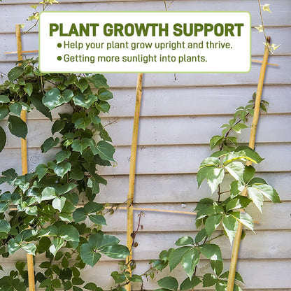 10 Pack Bamboo Trellis for Climbing Plants 16" Natural Garden Ladder Trellis, Fan -Shaped Plant Support Trellis for Potted Plant Decor