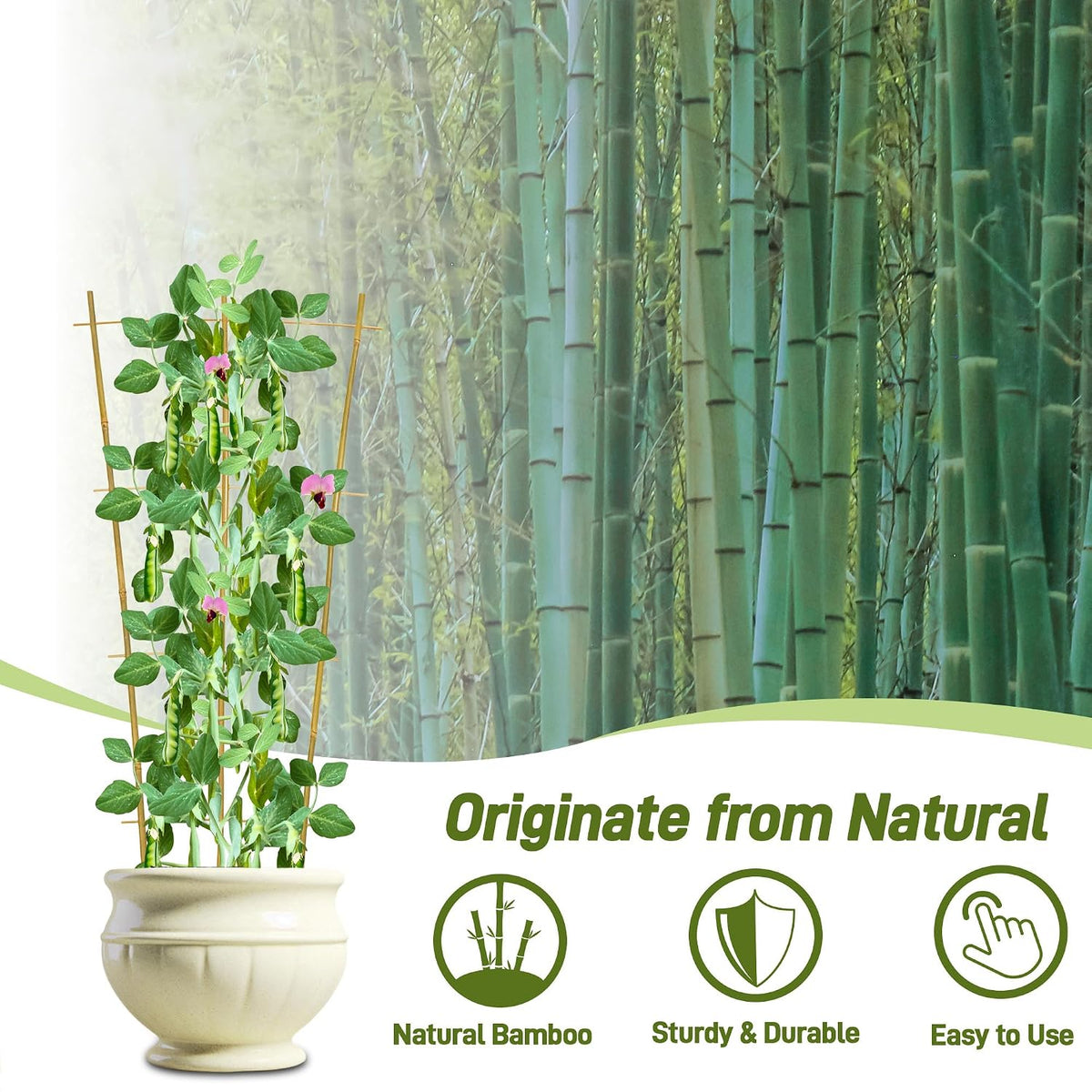 10 Pack Bamboo Trellis for Climbing Plants 16" Natural Garden Ladder Trellis, Fan -Shaped Plant Support Trellis for Potted Plant Decor