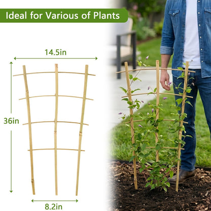 10 Pack Bamboo Trellis for Climbing Plants 16" Natural Garden Ladder Trellis, Fan -Shaped Plant Support Trellis for Potted Plant Decor