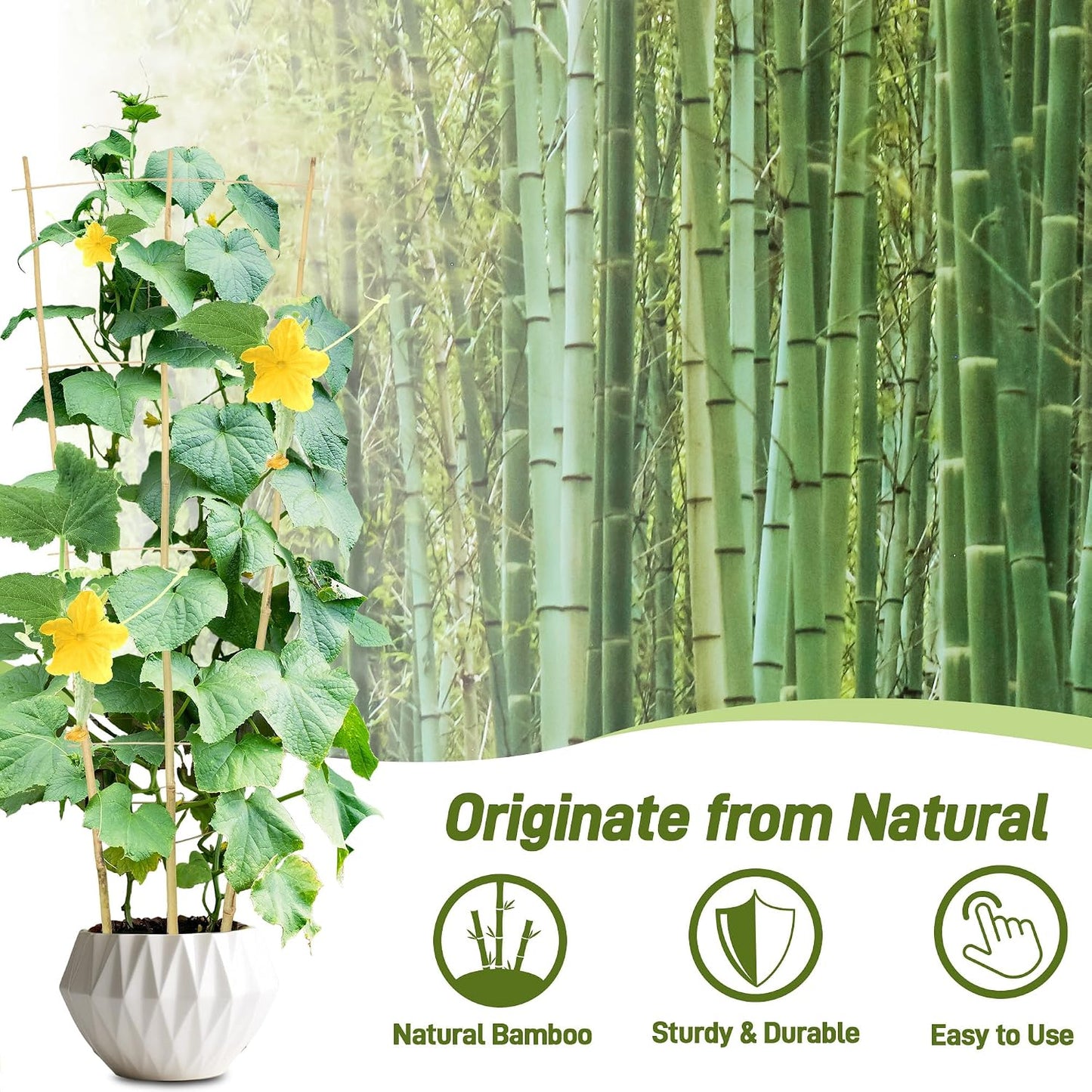 10 Pack Bamboo Trellis for Climbing Plants 16" Natural Garden Ladder Trellis, Fan -Shaped Plant Support Trellis for Potted Plant Decor
