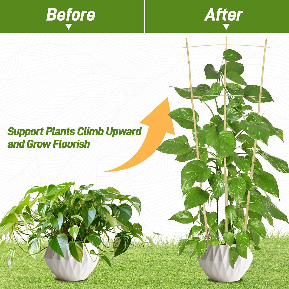 10 Pack Bamboo Trellis for Climbing Plants 16" Natural Garden Ladder Trellis, Fan -Shaped Plant Support Trellis for Potted Plant Decor