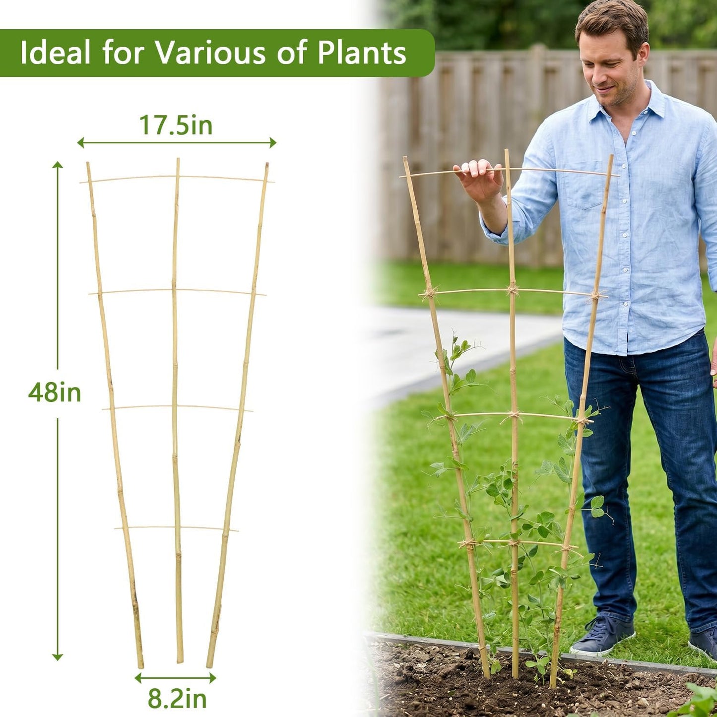 10 Pack Bamboo Trellis for Climbing Plants 16" Natural Garden Ladder Trellis, Fan -Shaped Plant Support Trellis for Potted Plant Decor