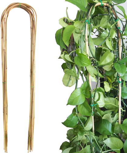 10 Pack Bamboo Trellis for Climbing Plants 16" Natural Garden Ladder Trellis, Fan -Shaped Plant Support Trellis for Potted Plant Decor