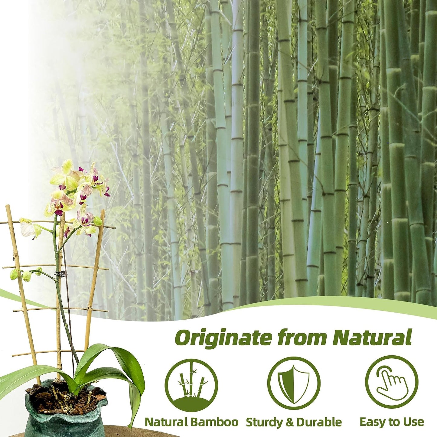 10 Pack Bamboo Trellis for Climbing Plants 16" Natural Garden Ladder Trellis, Fan -Shaped Plant Support Trellis for Potted Plant Decor