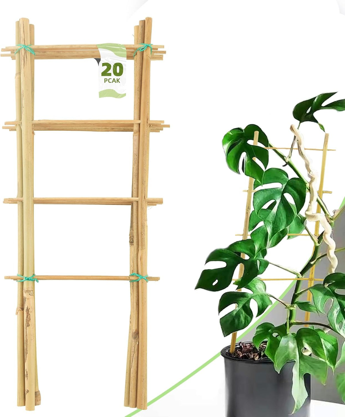10 Pack Bamboo Trellis for Climbing Plants 16" Natural Garden Ladder Trellis, Fan -Shaped Plant Support Trellis for Potted Plant Decor