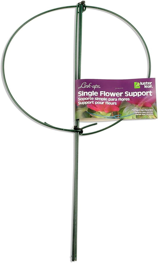 977 Medium Single Peony Flower Support