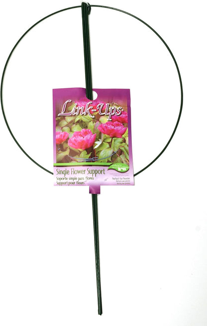 977 Medium Single Peony Flower Support