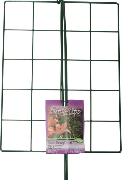 977 Medium Single Peony Flower Support