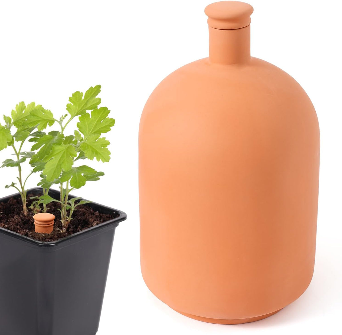 Ollas 8pcs 3.1 * 6inch Watring Can Pot Terracotta Self Watering Planter Insert Vacation Plant Care Olla Watering Terra Cotta Clay Irrigation Globes