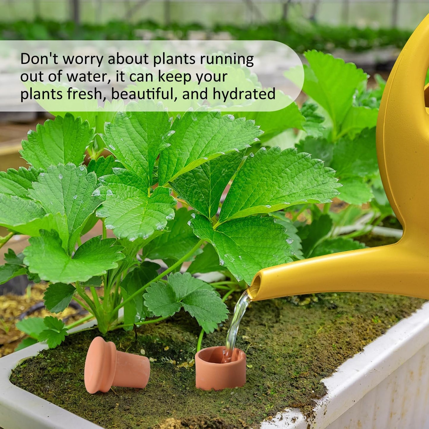 Ollas 8pcs 3.1 * 6inch Watring Can Pot Terracotta Self Watering Planter Insert Vacation Plant Care Olla Watering Terra Cotta Clay Irrigation Globes