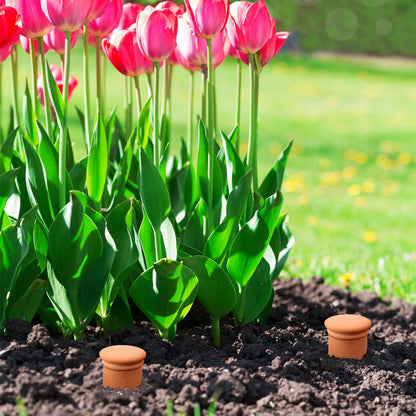 Ollas 8pcs 3.1 * 6inch Watring Can Pot Terracotta Self Watering Planter Insert Vacation Plant Care Olla Watering Terra Cotta Clay Irrigation Globes
