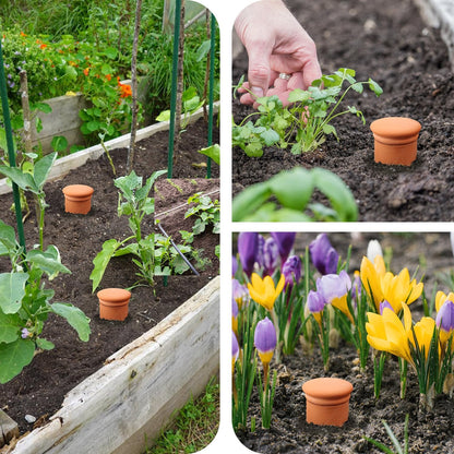 Ollas 8pcs 3.1 * 6inch Watring Can Pot Terracotta Self Watering Planter Insert Vacation Plant Care Olla Watering Terra Cotta Clay Irrigation Globes