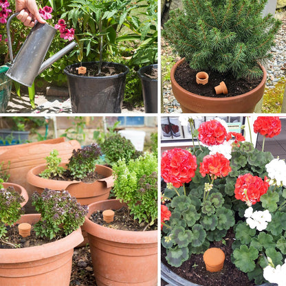Ollas 8pcs 3.1 * 6inch Watring Can Pot Terracotta Self Watering Planter Insert Vacation Plant Care Olla Watering Terra Cotta Clay Irrigation Globes