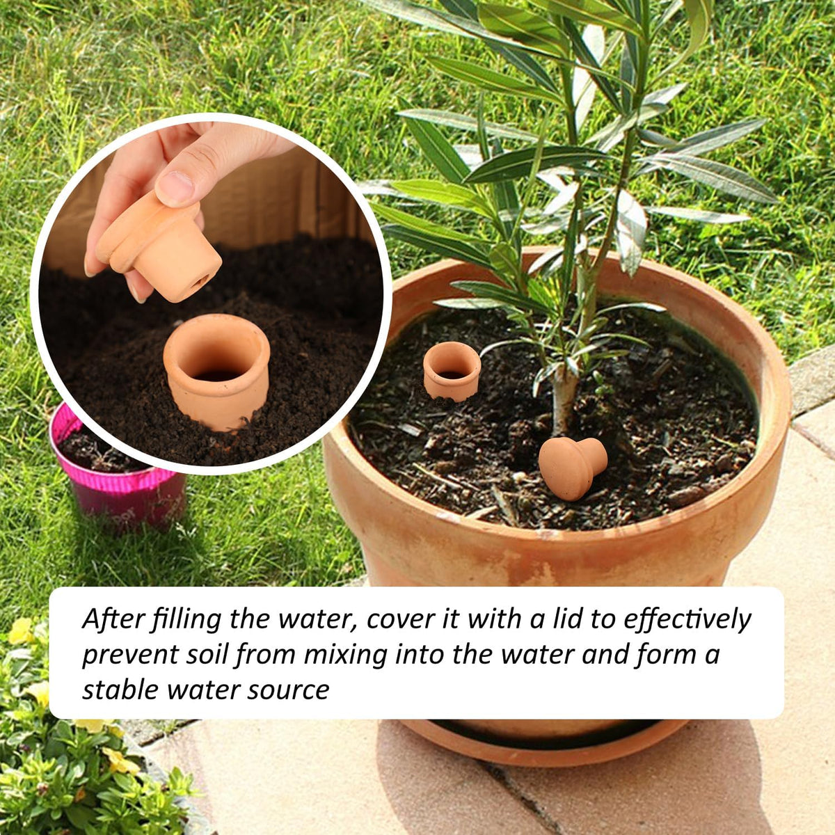 Ollas 8pcs 3.1 * 6inch Watring Can Pot Terracotta Self Watering Planter Insert Vacation Plant Care Olla Watering Terra Cotta Clay Irrigation Globes