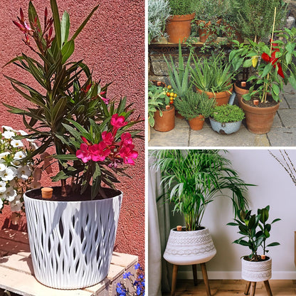 Ollas 8pcs 3.1 * 6inch Watring Can Pot Terracotta Self Watering Planter Insert Vacation Plant Care Olla Watering Terra Cotta Clay Irrigation Globes